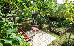 Apartments Vuceric